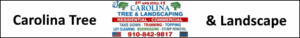 Tree Service Supply, NC by Carolina Tree & Landscaping since 1987 serving Shallotte, Supply, Wilmington, Whiteville and beyond!